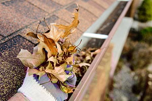 Gutter Cleaning Safety Tips