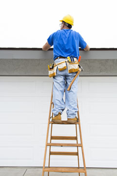 Roof Inspector