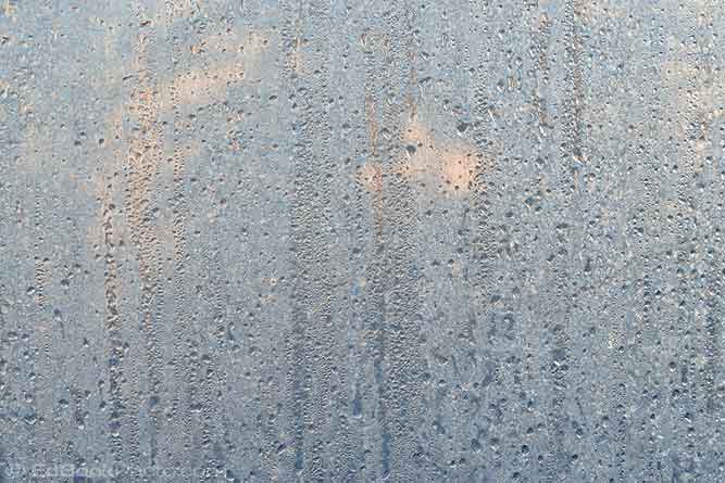 window condensation web
